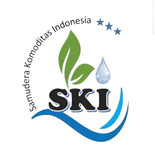 Logo SKI